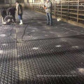 Hot Selling Rubber Flooring Mat for Cow Stable Horse Cattle in Roll